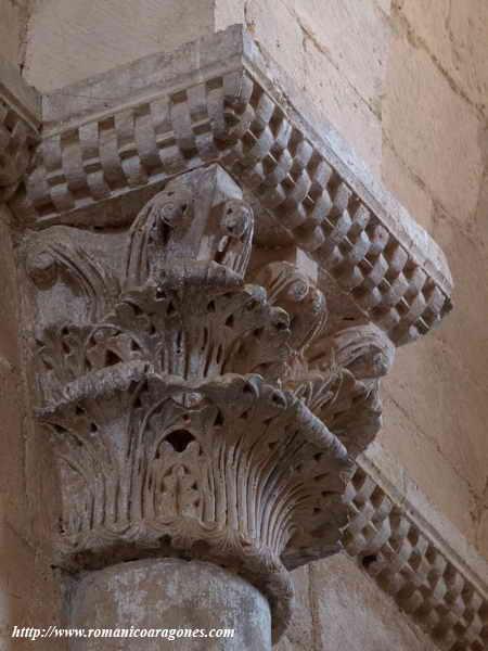 DECORACIÓN VEGETAL